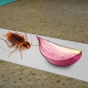 Pegando baratas