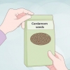 Cultive cardamomo