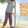 Como evitar que os gatos façam cocô no seu quintal