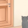 Mantenha os gatos fora de um quarto