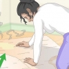 Limpeza de urina de gato