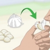 Fazendo spray de alho para o jardim