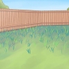 Cultivo de pepinos