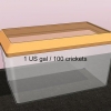 Mantenha os grilos vivos