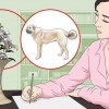 Aprenda a desenhar sem aulas