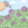 Mantenha as formigas longe das peônias