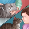 Removendo a cola de ratoeira da pata de um gato