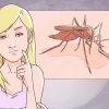 Distinção entre malária, dengue e chikungunya