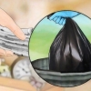 Livre-se dos percevejos naturalmente