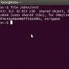 Instalando o oracle java jdk no ubuntu linux