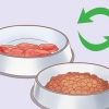 Tratamento de flatulência excessiva em cães