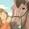 Passeios a cavalo