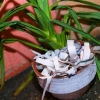 Papel reciclável