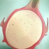 Pitaya em crescimento