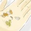 Cultivando plantas a partir de sementes