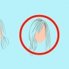 Desenhando cabelos realistas