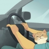 Viajar com um gato