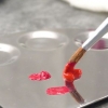 Escurecer a tinta vermelha