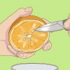 Germinando sementes de laranja