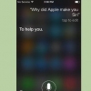 Faça a siri dizer coisas engraçadas