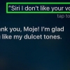 Deixar a siri chateada