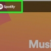 Usando o spotify
