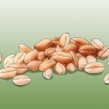 Cultivo de grama de trigo