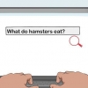 Obtendo permissão de seus pais para manter um hamster