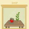 Cultivo de tomates em vasos