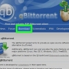 Baixe torrents mais rápido