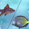 Tratando peixes tropicais com plugue branco