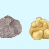 Crescendo trufas