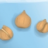Plantando bulbos de tulipas