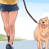 Amando seu cachorro