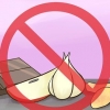 Prevenção de envenenamento por hamster