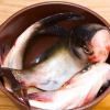Preparar peixe