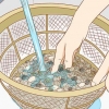 Colocando peixes em um novo aquário