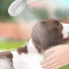 Mantenha as moscas longe dos cães