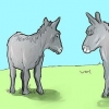 Cuidando de um burro