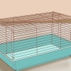 Cuidando de hamsters sírios