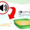 Impedindo que seu gato urine em lugares onde não é permitido