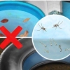 Impedindo que os mosquitos se reproduzam
