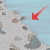 Identificar flint