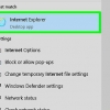 Salvando senhas no internet explorer