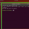 Usando wine no linux