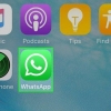 Veja se alguém tem seu número no whatsapp