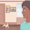 Fazendo um gato e um cachorro se tolerarem