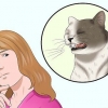 Certifique-se de que seu gato não arranca sozinho