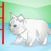 Fazendo os gatinhos pararem de miar