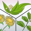 Prevenção de menstruações intensas: pode ser feito naturalmente?